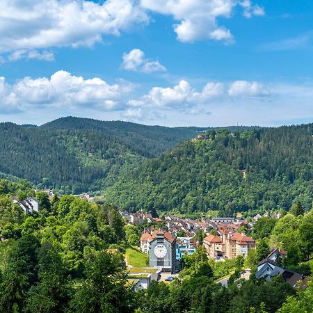 Ferienwohnungen Schwabenhof Schramberg Ngoại thất bức ảnh