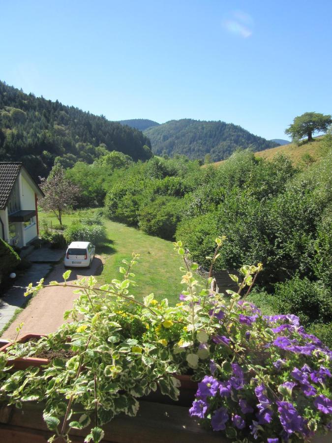 Ferienwohnungen Schwabenhof Schramberg Ngoại thất bức ảnh