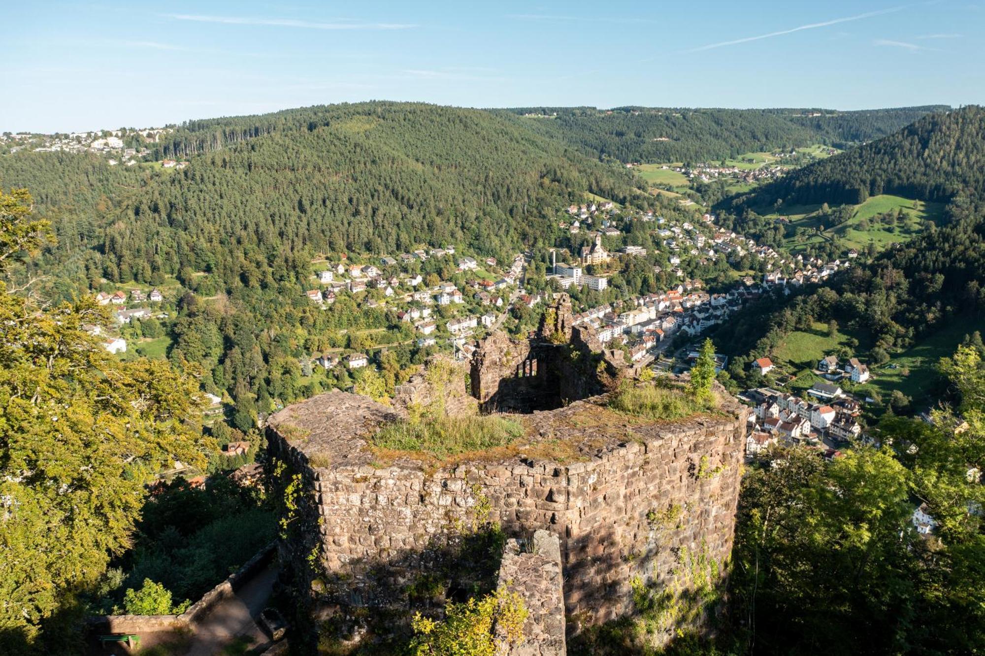 Ferienwohnungen Schwabenhof Schramberg Ngoại thất bức ảnh